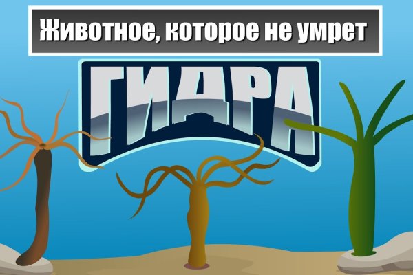 Kraken ссылка зеркало krakentor site